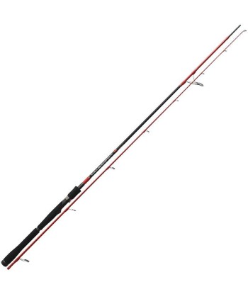 INJECTION SP 80 M 2ES MINNOW pas cher 