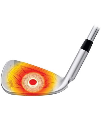 Ping Série de Fers G410 Shaft Acier Vous souhaitez 