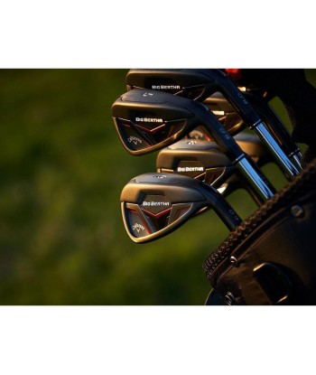 Callaway Série de Fers Big Bertha Shaft Lady 2019 Fin de série