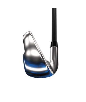 Callaway Série de Fer Big Bertha B21 shaft acier la livraison gratuite