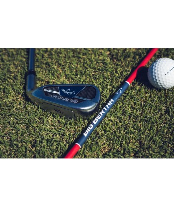 Callaway Série de Fer Big Bertha B21 shaft acier la livraison gratuite