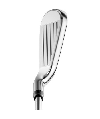 Callaway Série de Fer Big Bertha REVA 2021 brillant des détails fins