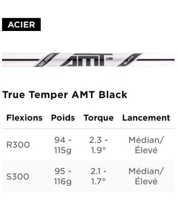 Titleist Série de Fers T200 shaft ACIER la chaussure