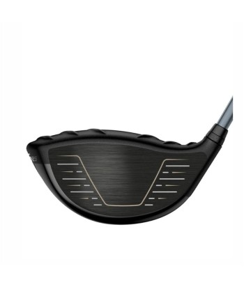 Ping Driver G425 MAX Profitez des Offres !