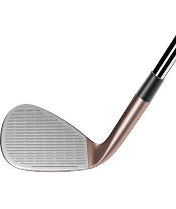 TAYLORMADE WEDGE Bronze New HI-TOE 3 Livraison rapide