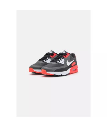 NIKE AIRMAX 90 G Gris Argent Rouge en linge