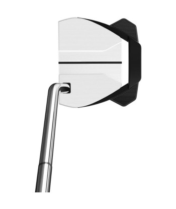 Taylormade Putter Spider GTX Single Bend White votre restaurant rapide dans 