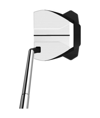 Taylormade Putter Spider GTX Small Slant White la livraison gratuite