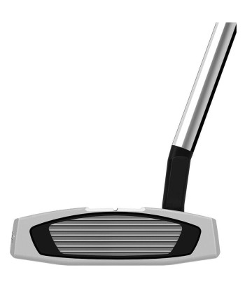 Taylormade Putter Spider GTX Small Slant Grey Amélioration de cerveau avec