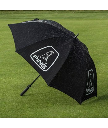 PING parapluie Single Canopy Mr PIng Dans la société mordern