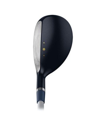 Ping Hybride Gle3 Lady sélection de produits