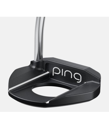 Ping Putter Lady Gle3 Fetch une grave pollution 